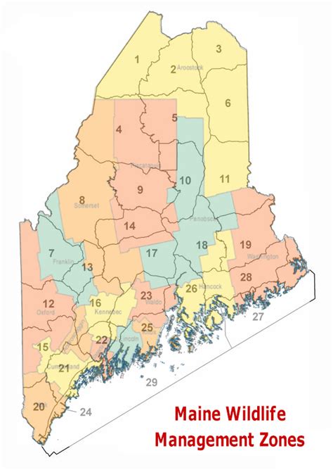 Maine moose permit zones. Things To Know About Maine moose permit zones. 
